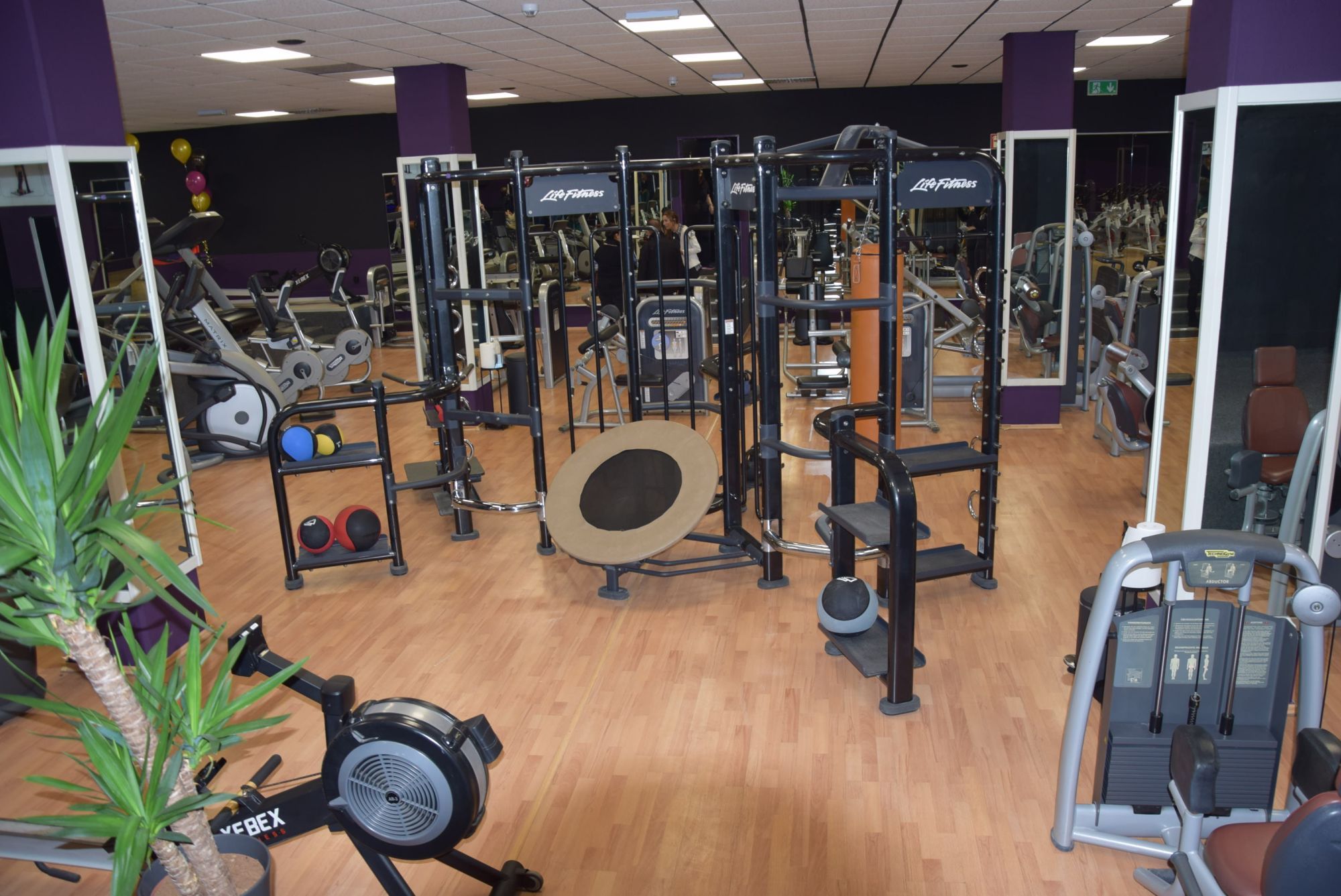 House of Fit