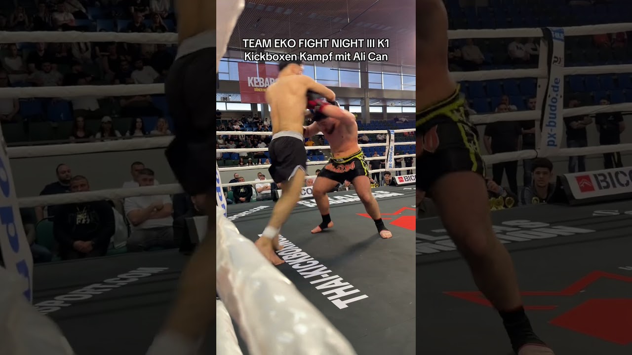 Youtube Vorschau - Video ID iSDR9Xn1DxY