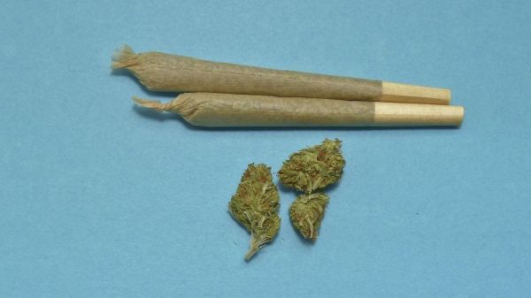 Einführung des Gesetzes zum Umgang mit Konsumcannabis (KCanG)- die Polizei informiert