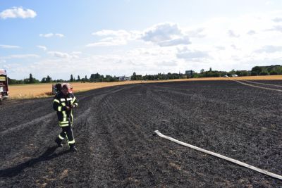 Großflächiger Brand eines Feldes in Lauterbach