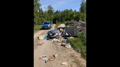 Illegale Müllentsorgung im Naherholungsgebiet Dreispitz, Schlangenbad