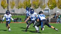 Bad Homburg Sentinels U13 greift nach dem Titel