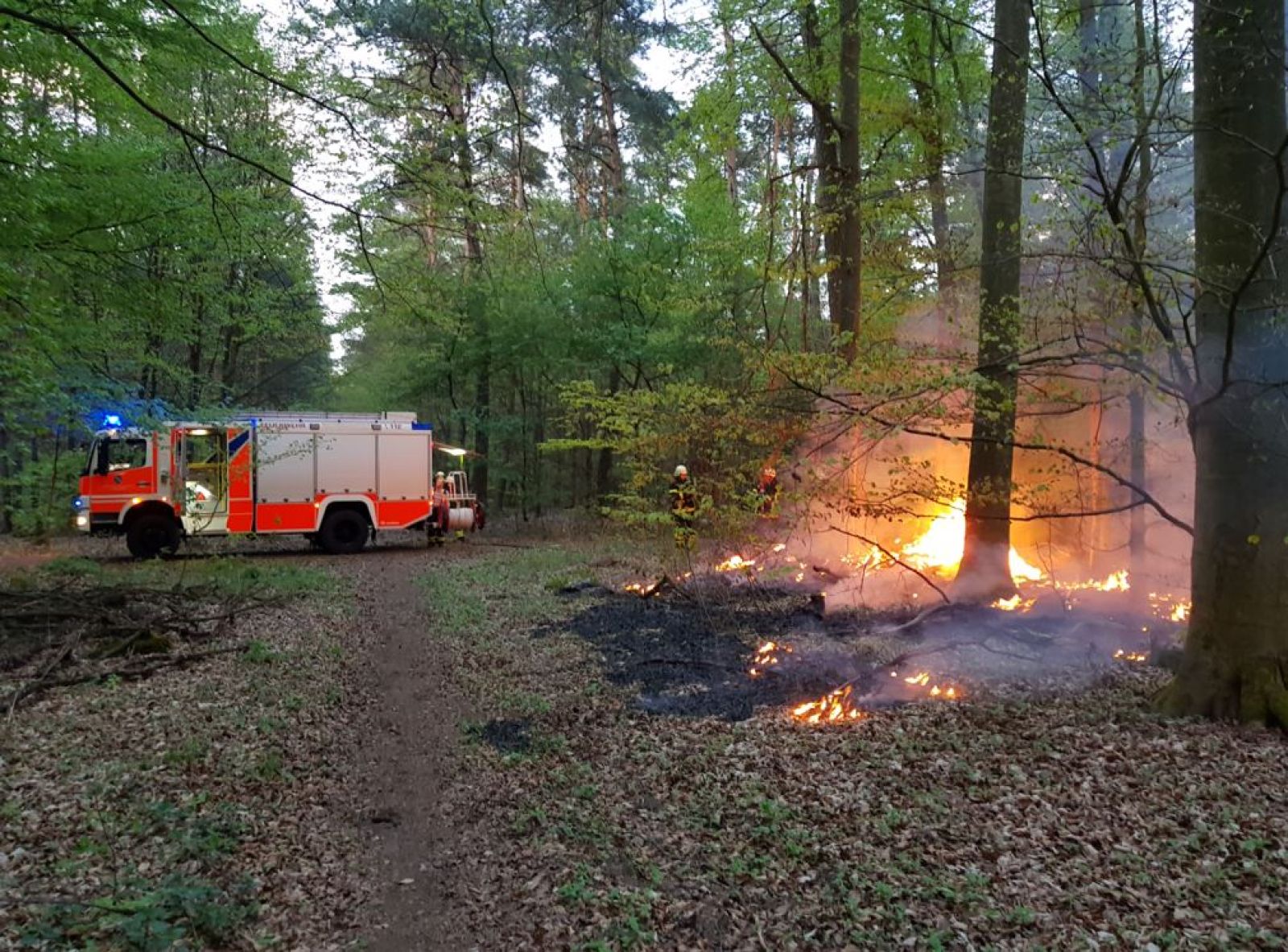 RTK: Falschfahrer auf der B42 mit anschließenden Unfall! Fahrlässige Brandstiftung im Wald!