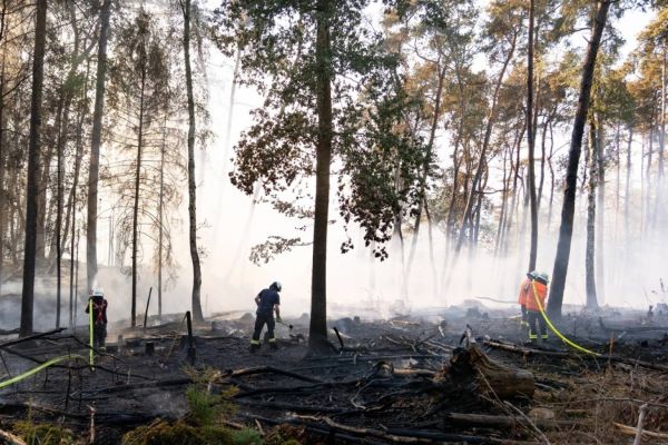 Quelle: Feuerwehren Landkreis Neunkirchen