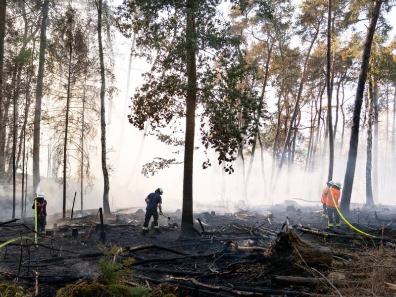 Quelle: Feuerwehren Landkreis Neunkirchen